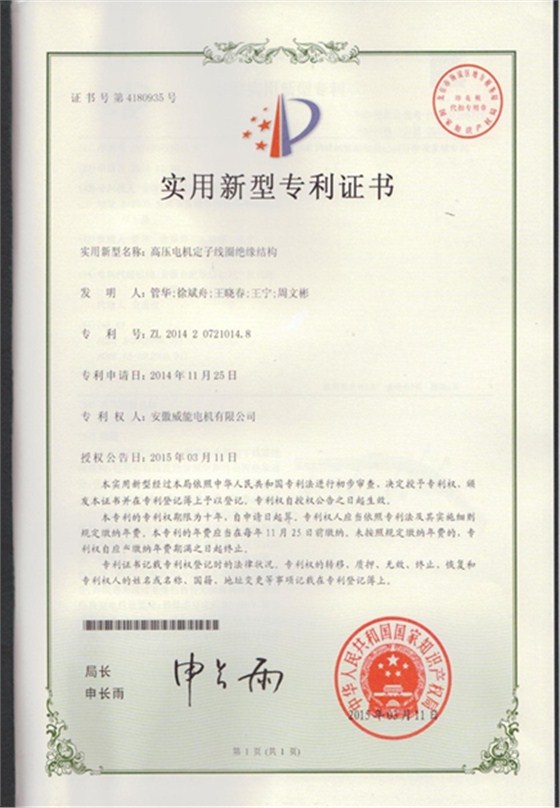 皖南電機(jī)專利|高壓電機(jī)定子線圈絕緣結(jié)構(gòu)