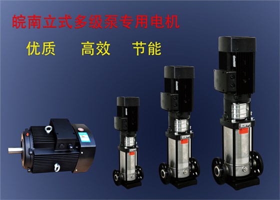 皖南多級(jí)泵專用電機(jī) 皖南多級(jí)泵專用電機(jī)