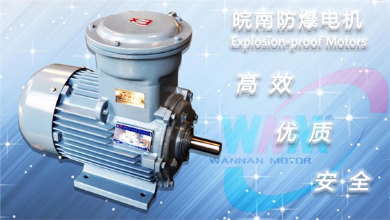 皖南防爆電機(jī) 皖南防爆電機(jī)