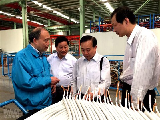 全國總工會領導來皖南電機調(diào)研