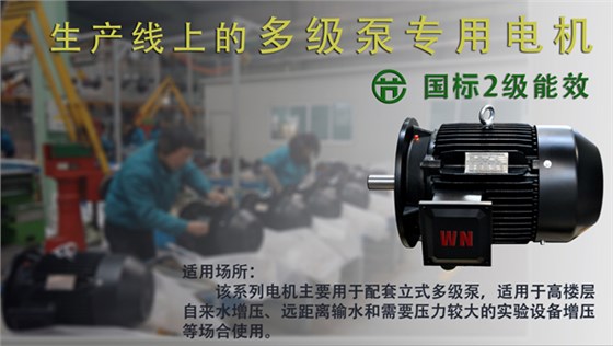 皖南電機(jī):多級(jí)泵 皖南電機(jī):多級(jí)泵