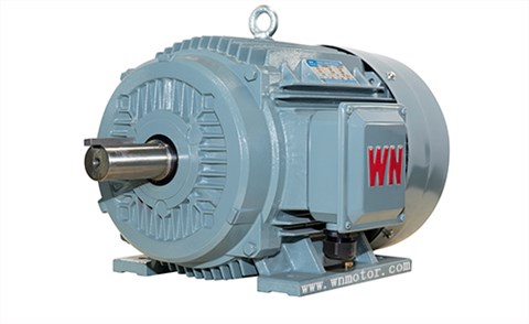 TYCP系列三相變頻驅(qū)動永磁同步電動機