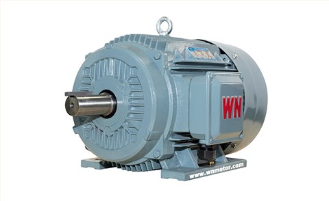 TYCP系列三相變頻驅(qū)動永磁同步電動機