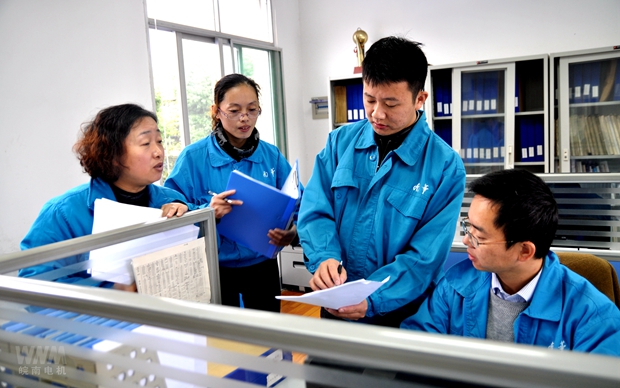 皖南電機內(nèi)審人員在部門審核 皖南電機內(nèi)審人員在部門審核