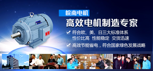 皖南電機：高效電機制造專家