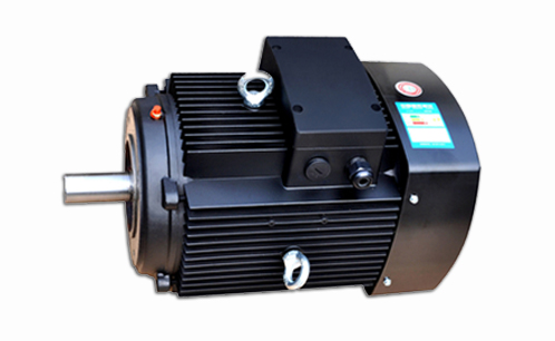 多級(jí)泵專(zhuān)用電機(jī)
